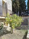 Venezia Garden of our guest house for sale in south France - Perpignan (15).webp