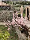 Venezia Garden of our guest house for sale in south France - Perpignan (13).webp