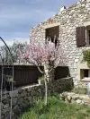 Venezia Garden of our guest house for sale in south France - Perpignan (18).webp