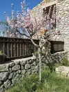 Venezia Garden of our guest house for sale in south France - Perpignan (16).webp